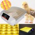Инкубатор для яиц автоматический HHD YZ-56S Egg Incubator