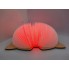 Светильник-книга Кошечка VHG BL06 Дерево 5 цветов свечения Foldable Book Lamp Cat