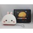 Светильник-книга Зайчик VHG BL06 Дерево 5 цветов свечения Foldable Book Lamp Bunny