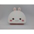 Светильник-книга Зайчик VHG BL06 Дерево 5 цветов свечения Foldable Book Lamp Bunny